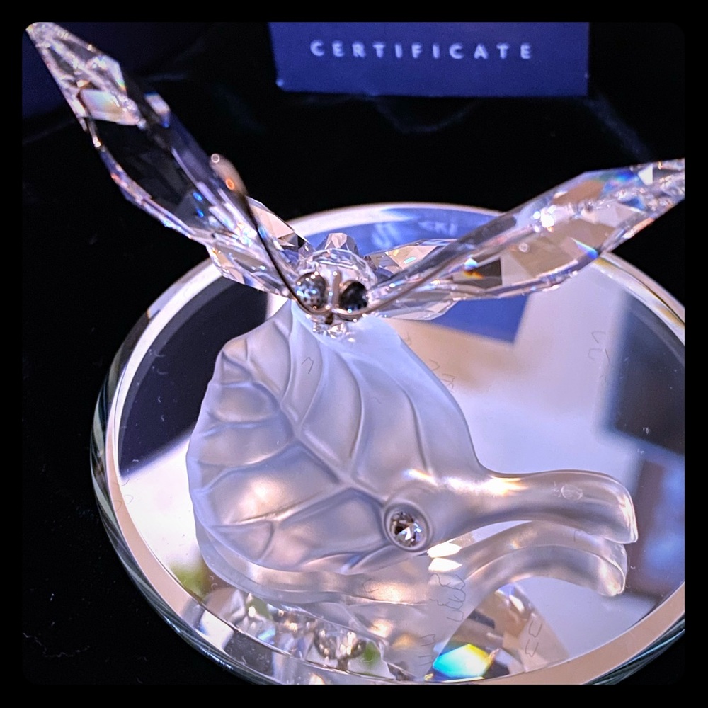 Retired Swarovski Butterfly on a leaf .